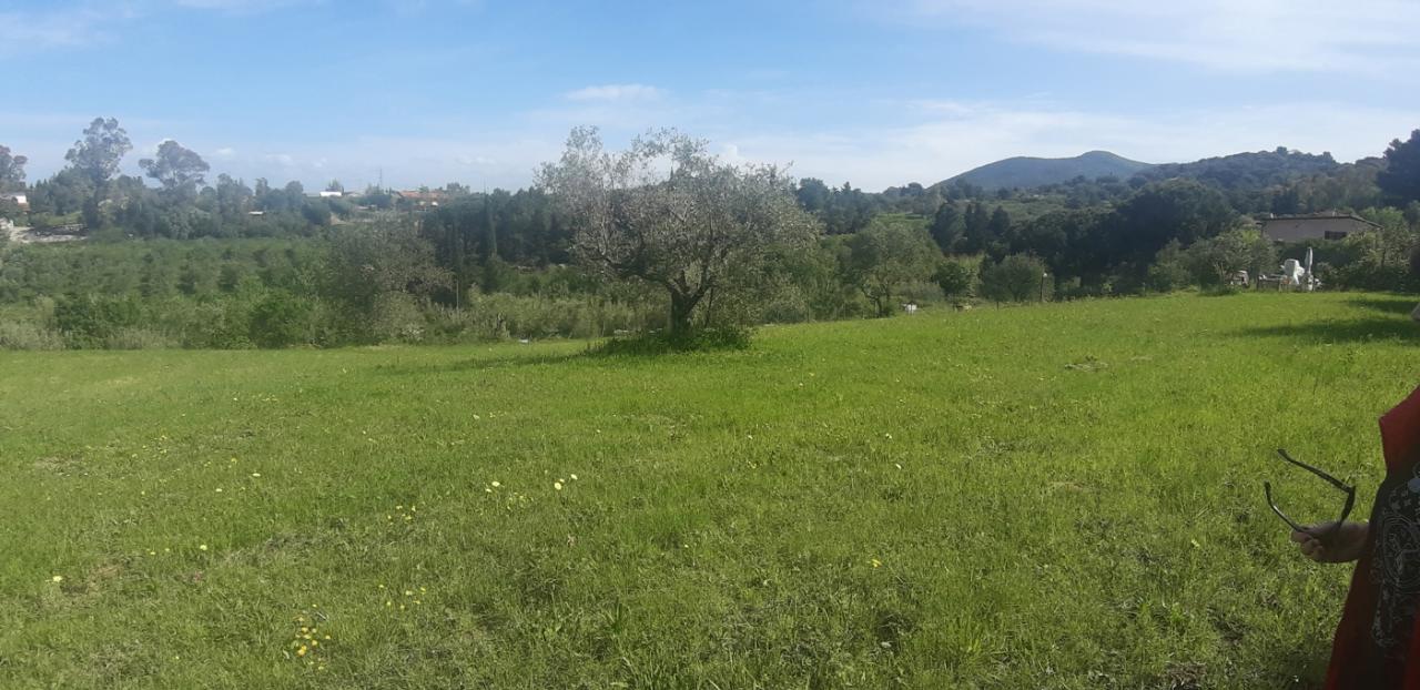 immagine annuncio 1 di 4