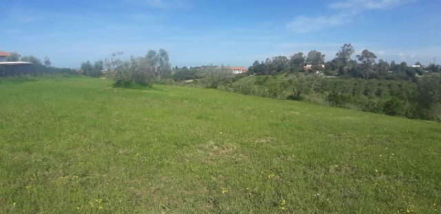 Terreno agricolo in {3}, Via delle Gore Snc - Foto 1