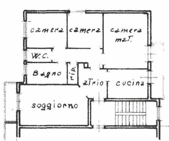 main planimetry real estate image