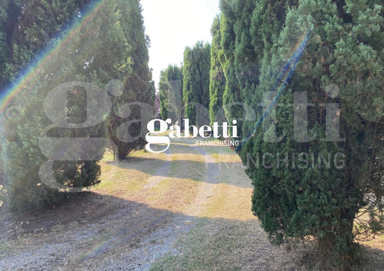 immagine annuncio 7 di 8
