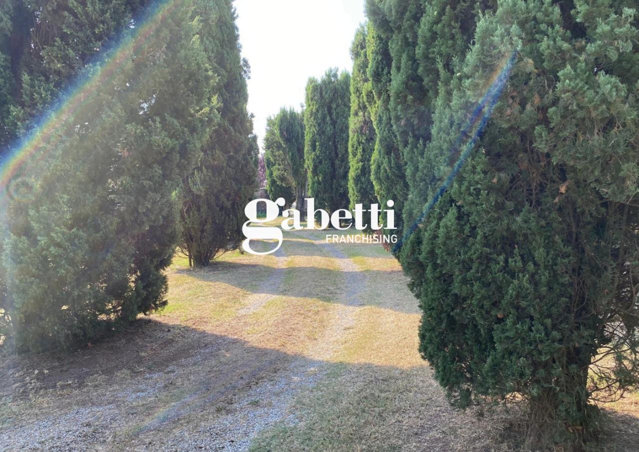 immagine annuncio 7 di 8