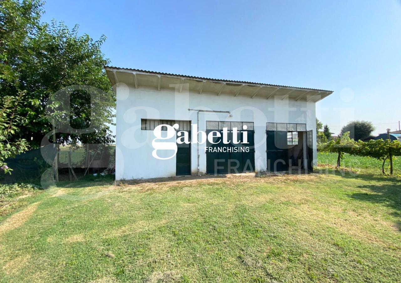 immagine annuncio 5 di 7