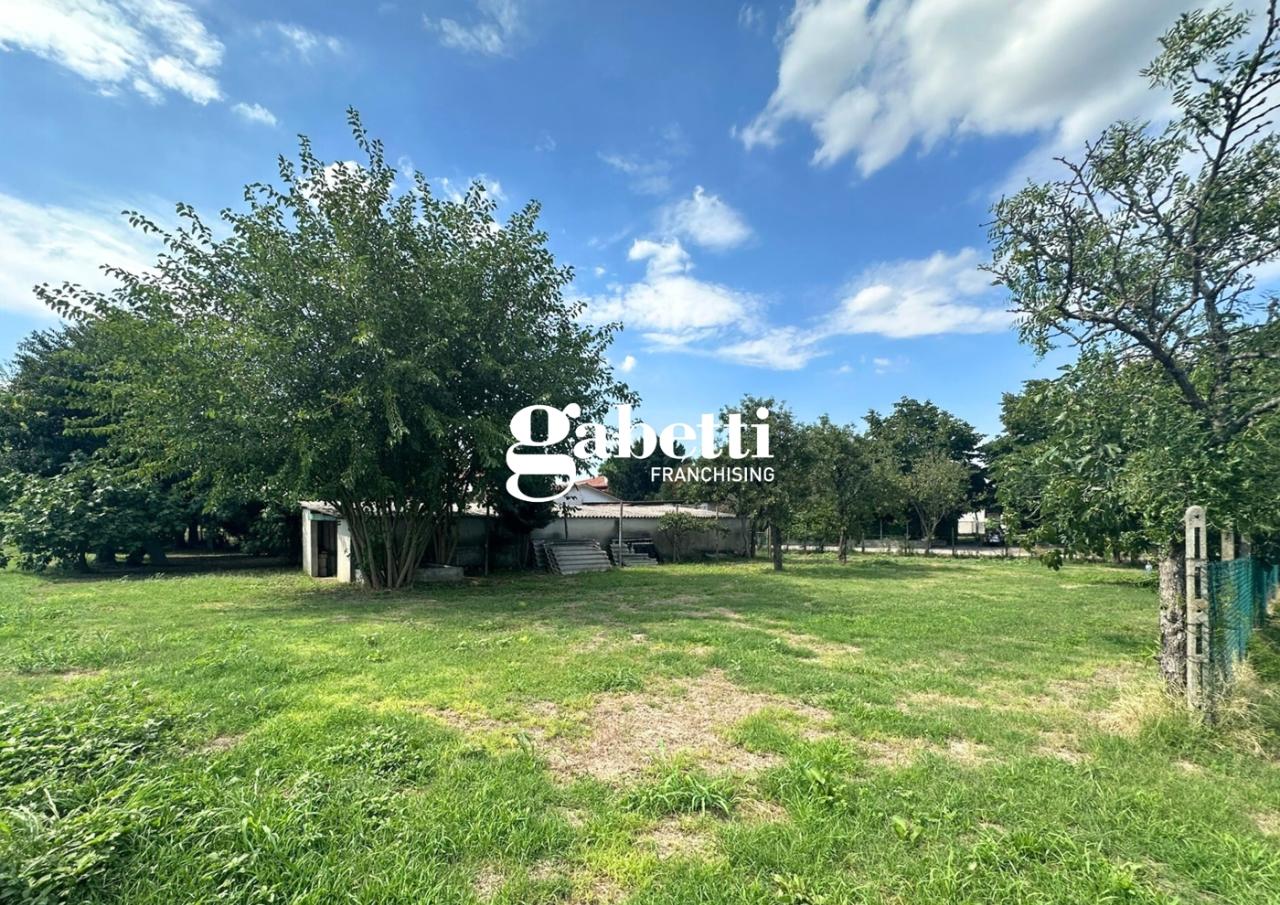 immagine annuncio 7 di 11