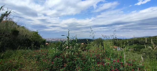 Agricultural land in Via della Porcigliana  57, Livorno - Photo 1