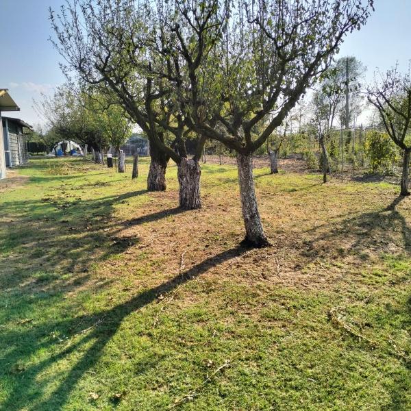 immagine annuncio 8 di 13