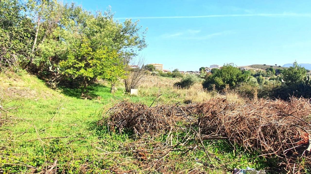immagine annuncio 3 di 4