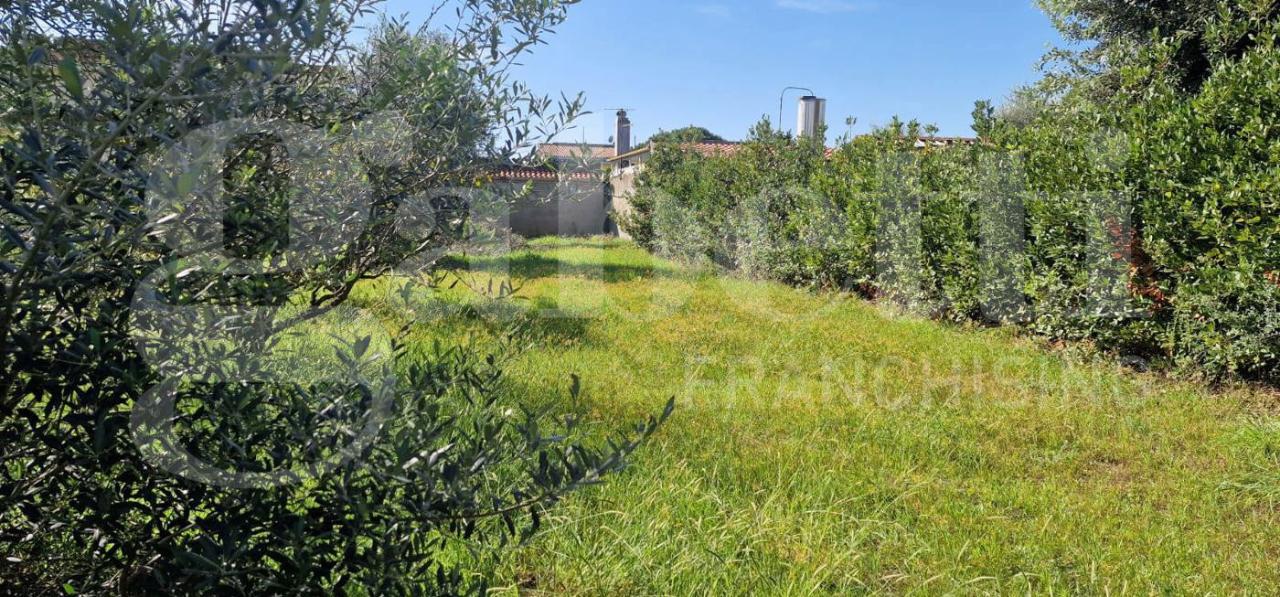 immagine annuncio 3 di 11