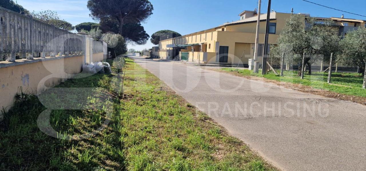 immagine annuncio 4 di 13