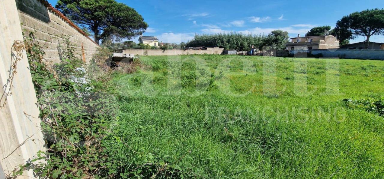 immagine annuncio 7 di 13