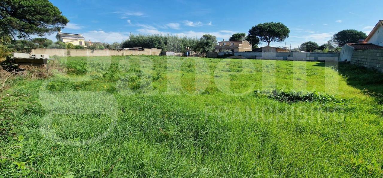 immagine annuncio 8 di 13