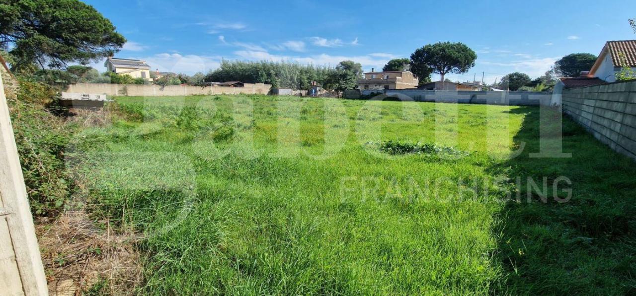 immagine annuncio 10 di 13