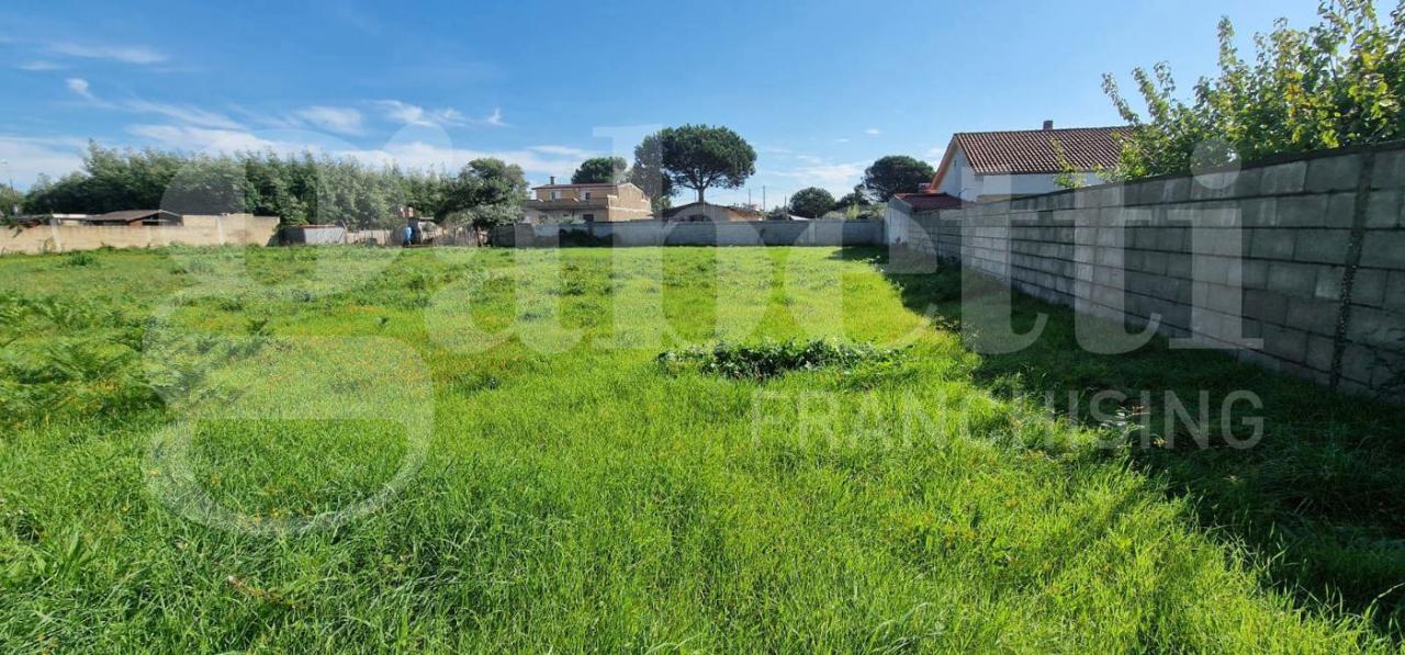 immagine annuncio 12 di 13