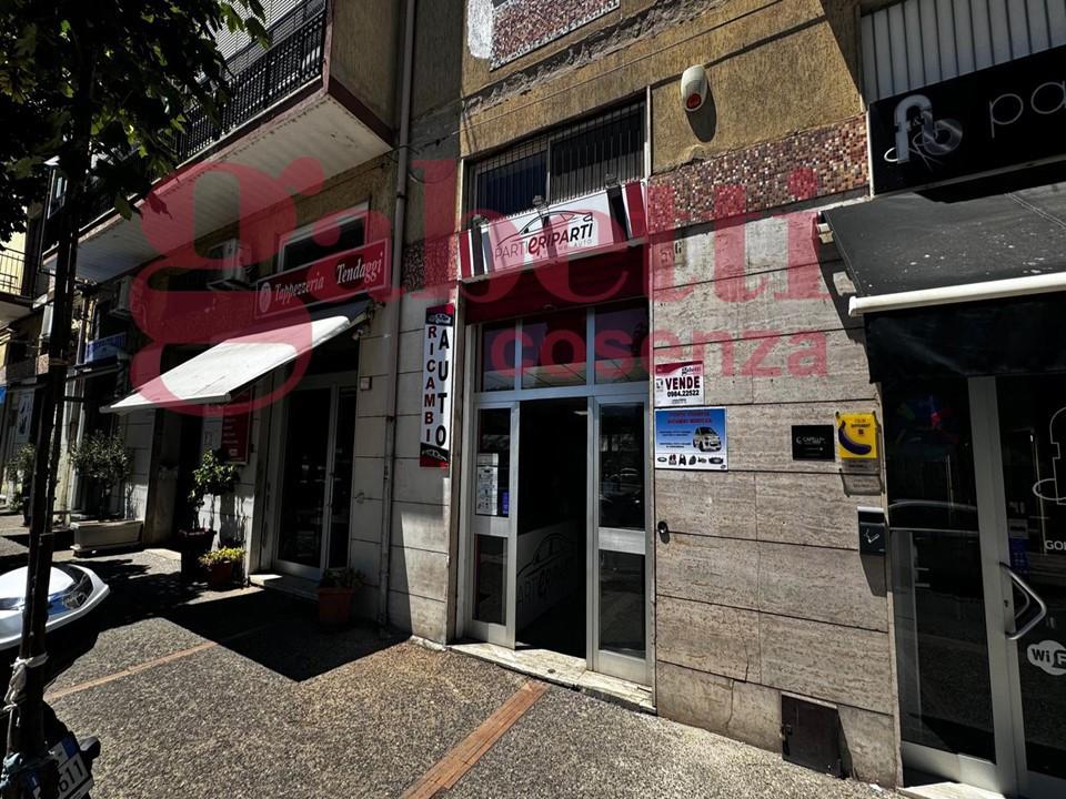 Magazzino in Cosenza Viale Mancini  109, Cosenza, {3} - Foto 1