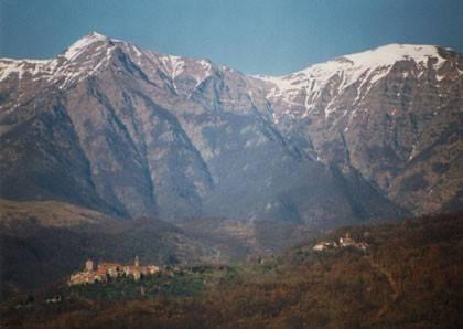 immagine annuncio 12 di 13