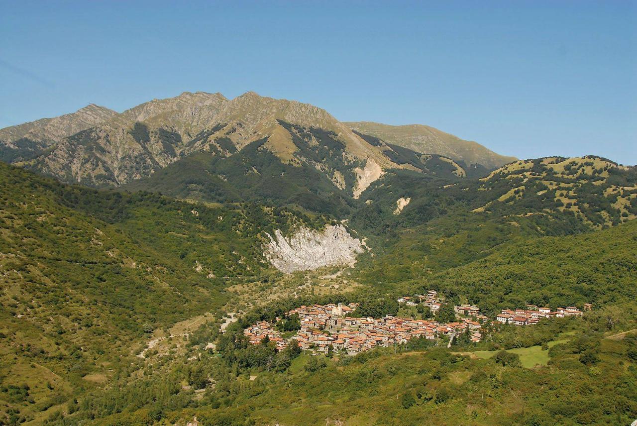 immagine annuncio 10 di 13