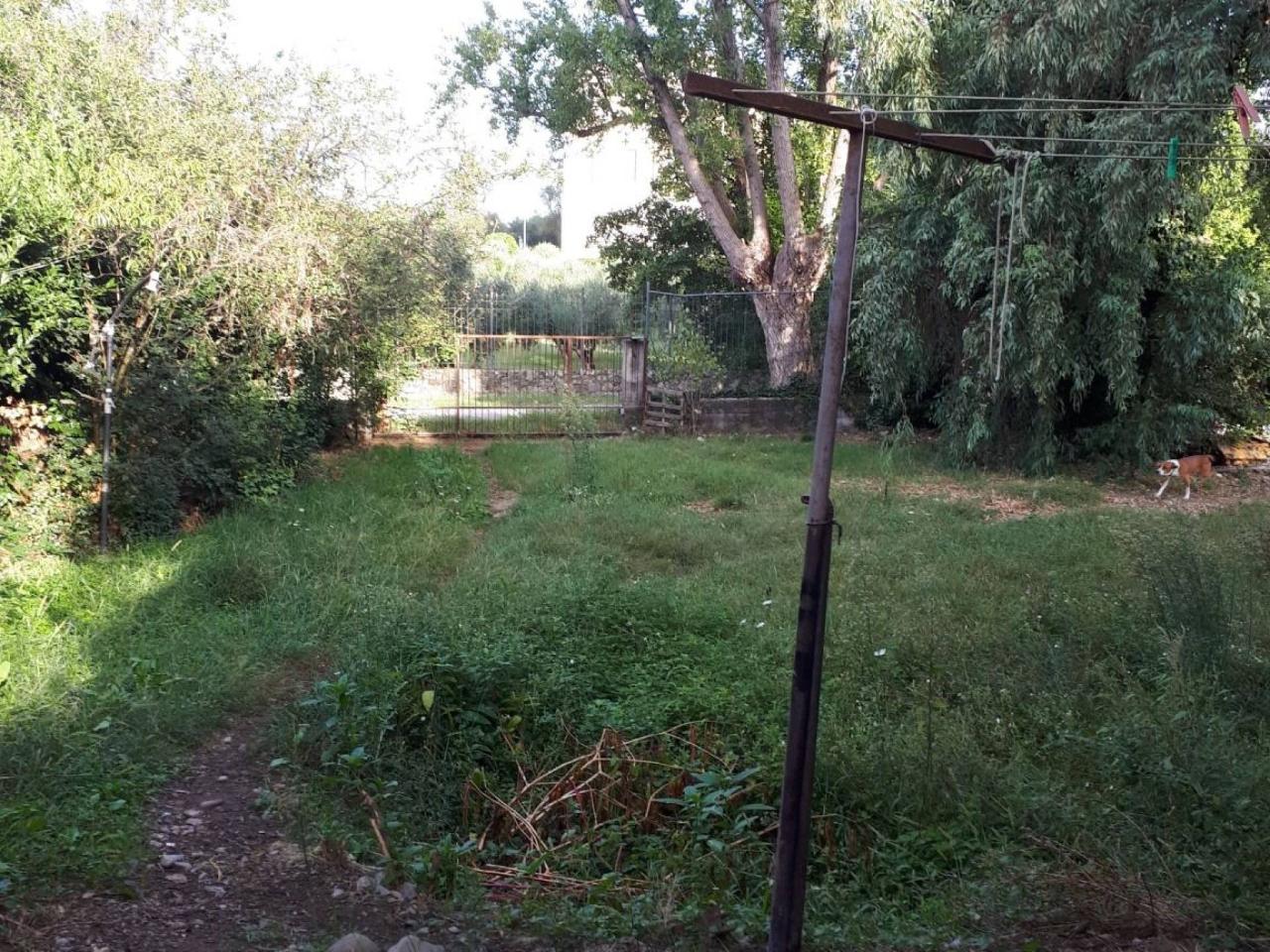 immagine annuncio 7 di 11