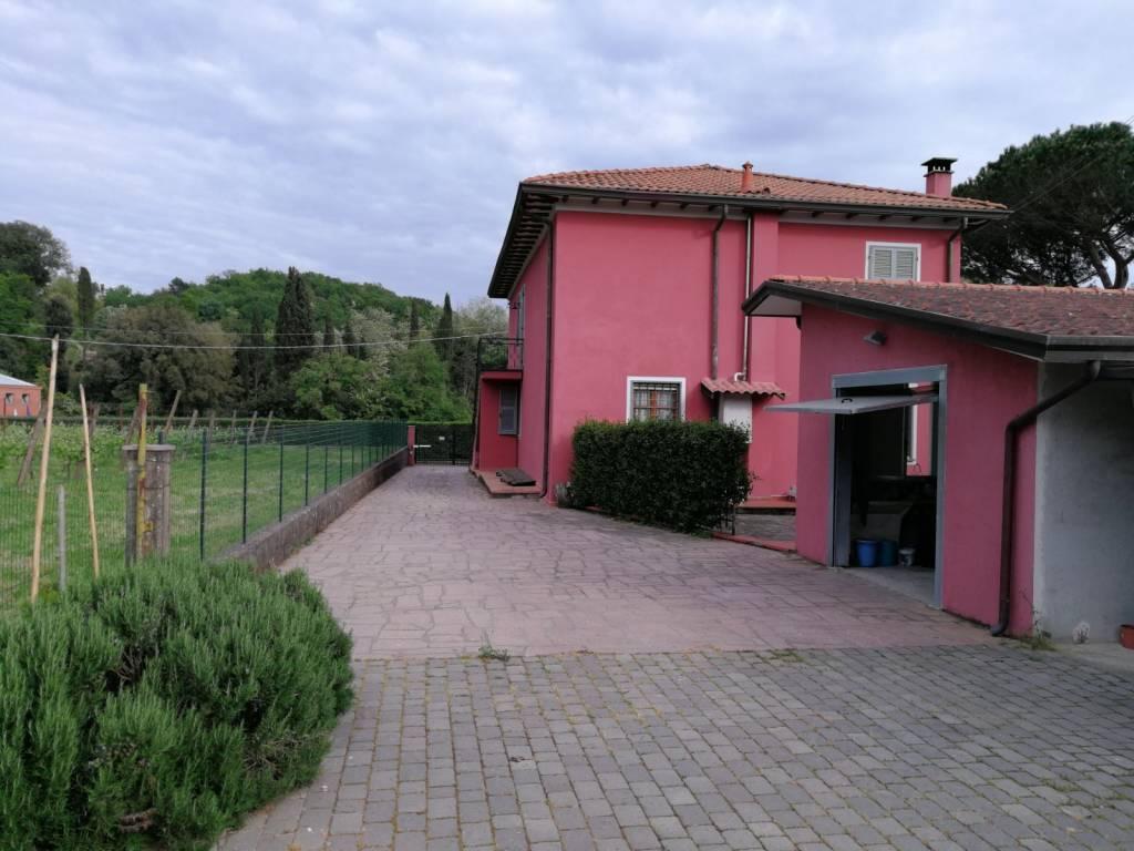 immagine annuncio 4 di 9