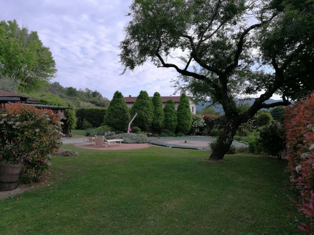 immagine annuncio 5 di 9