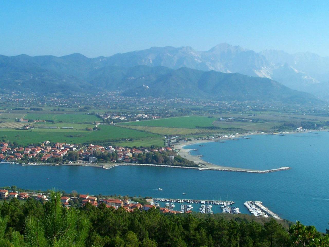 immagine annuncio 10 di 12