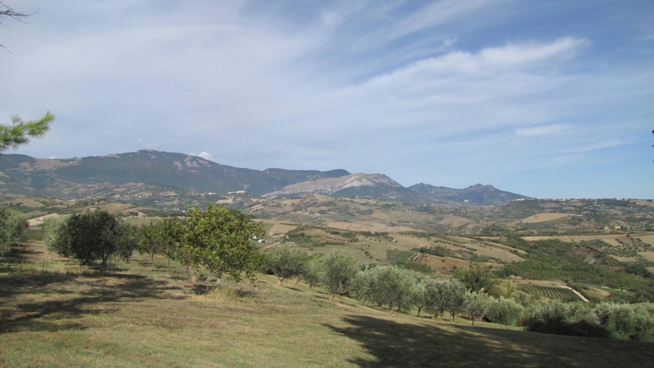immagine annuncio 2 di 6