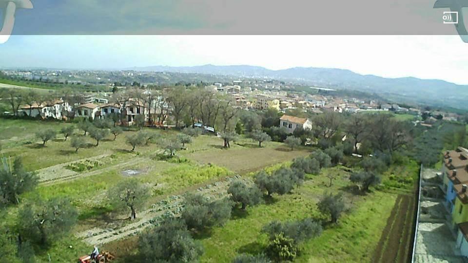 immagine annuncio 5 di 8
