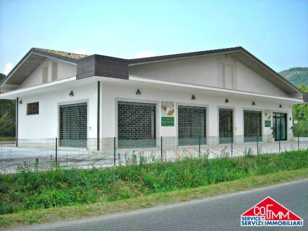 Negozio in Strada Provinciale Fontechiari-Casalvieri, Fontechiari, {3} - Foto 1
