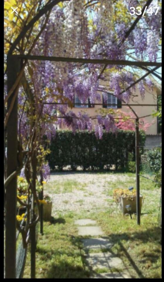 immagine annuncio 12 di 14