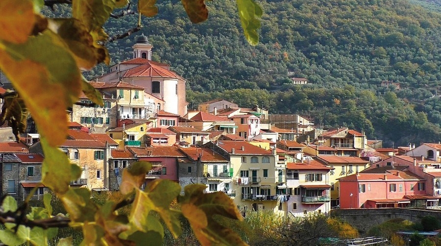 immagine annuncio 5 di 14