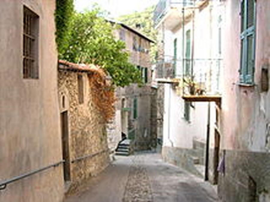 immagine annuncio 9 di 14