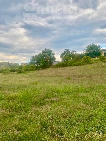 Agricultural land in Località Salice ., Ascea - Photo 1