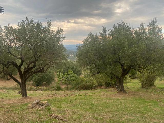 Terreno agricolo in Via Salice ., Ascea - Foto 1