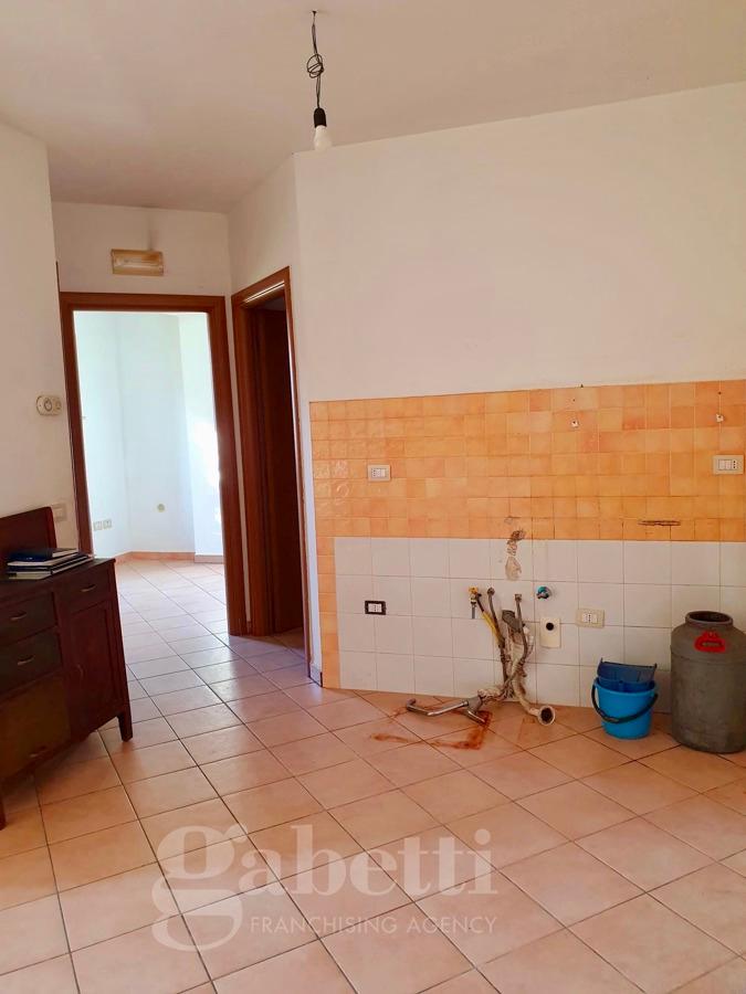 immagine annuncio 7 di 12