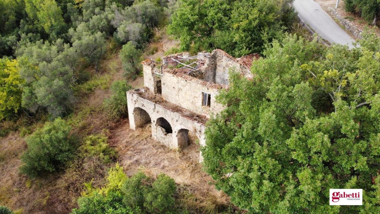 immagine annuncio 3 di 11