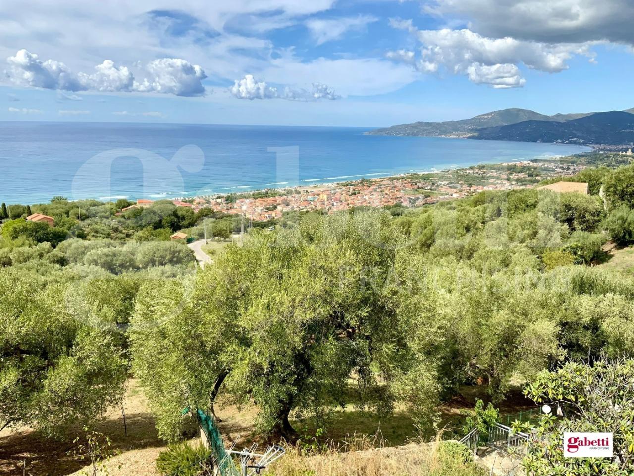 immagine annuncio 12 di 13