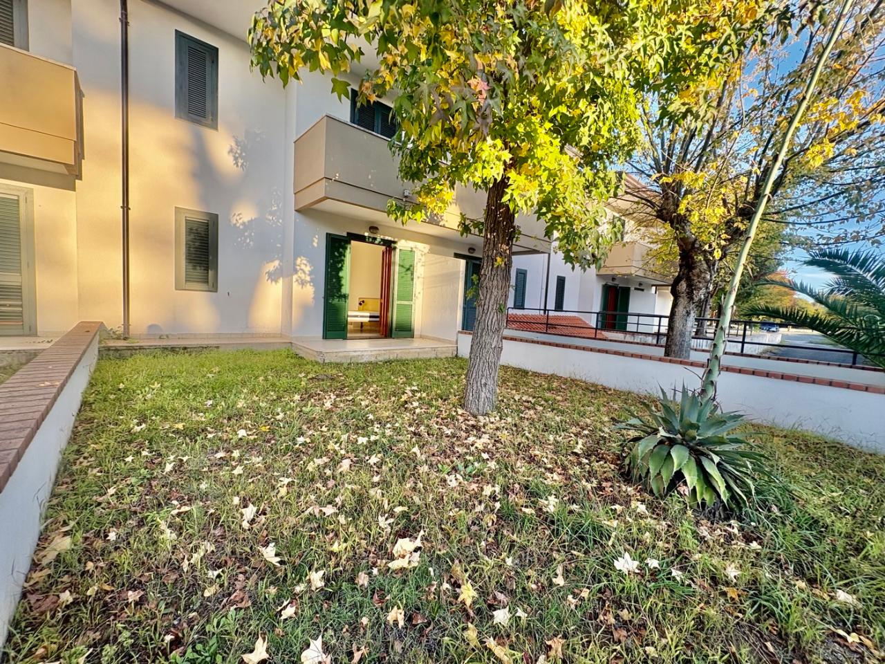 immagine annuncio 6 di 8