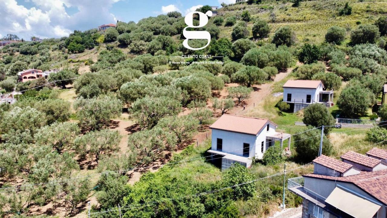 immagine annuncio 7 di 11