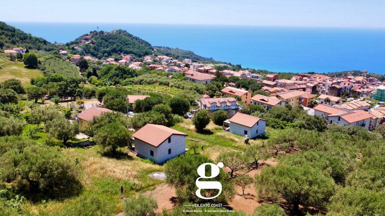 immagine annuncio 3 di 11