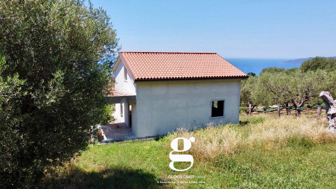 immagine annuncio 8 di 11