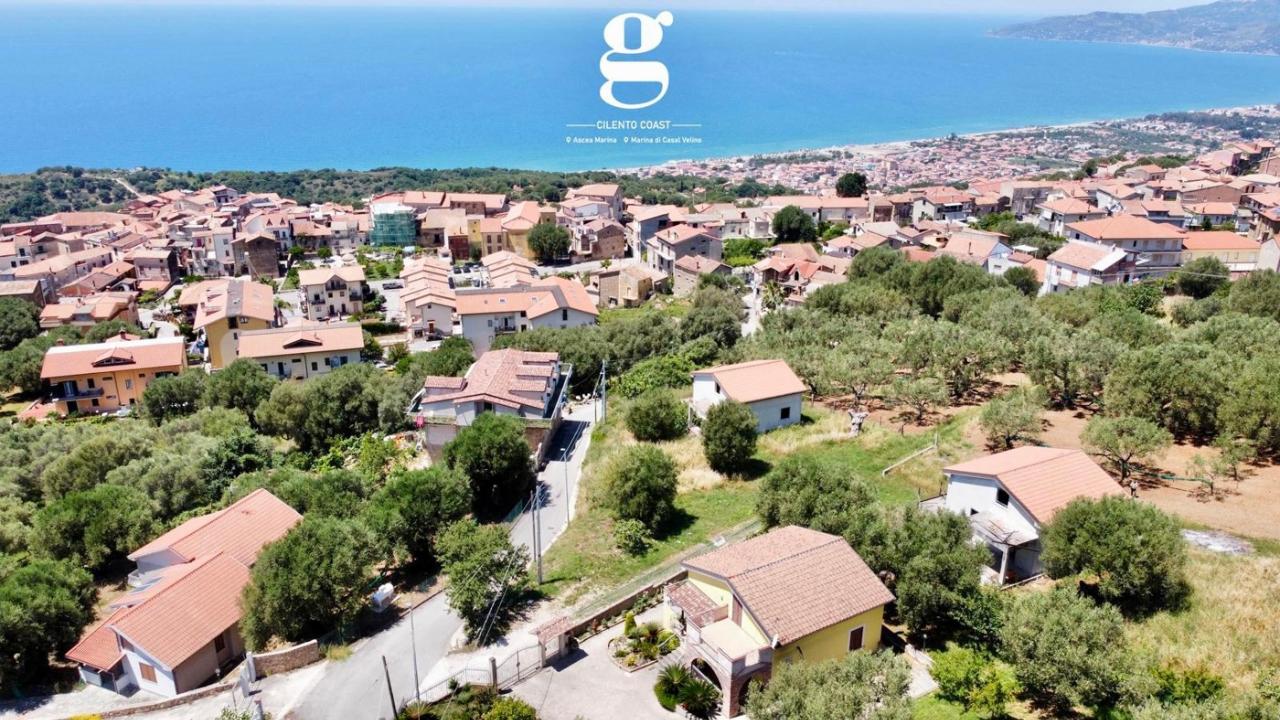 immagine annuncio 6 di 11