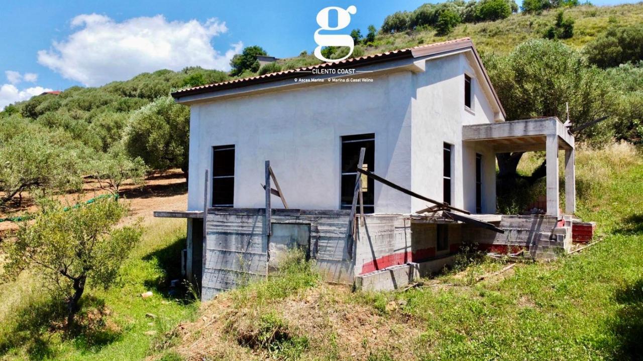 immagine annuncio 4 di 11