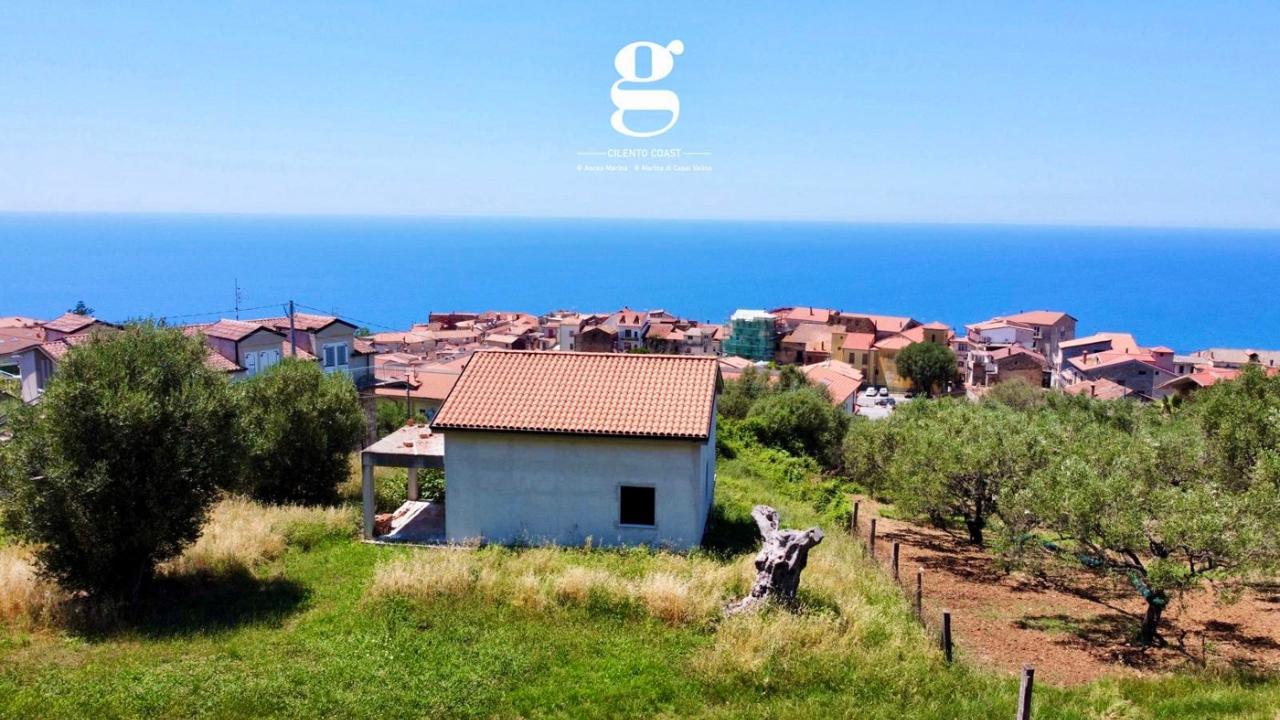 immagine annuncio 2 di 11