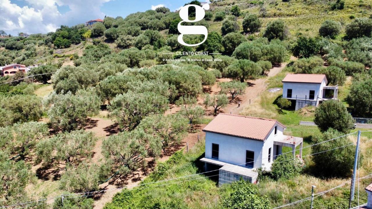 immagine annuncio 5 di 11