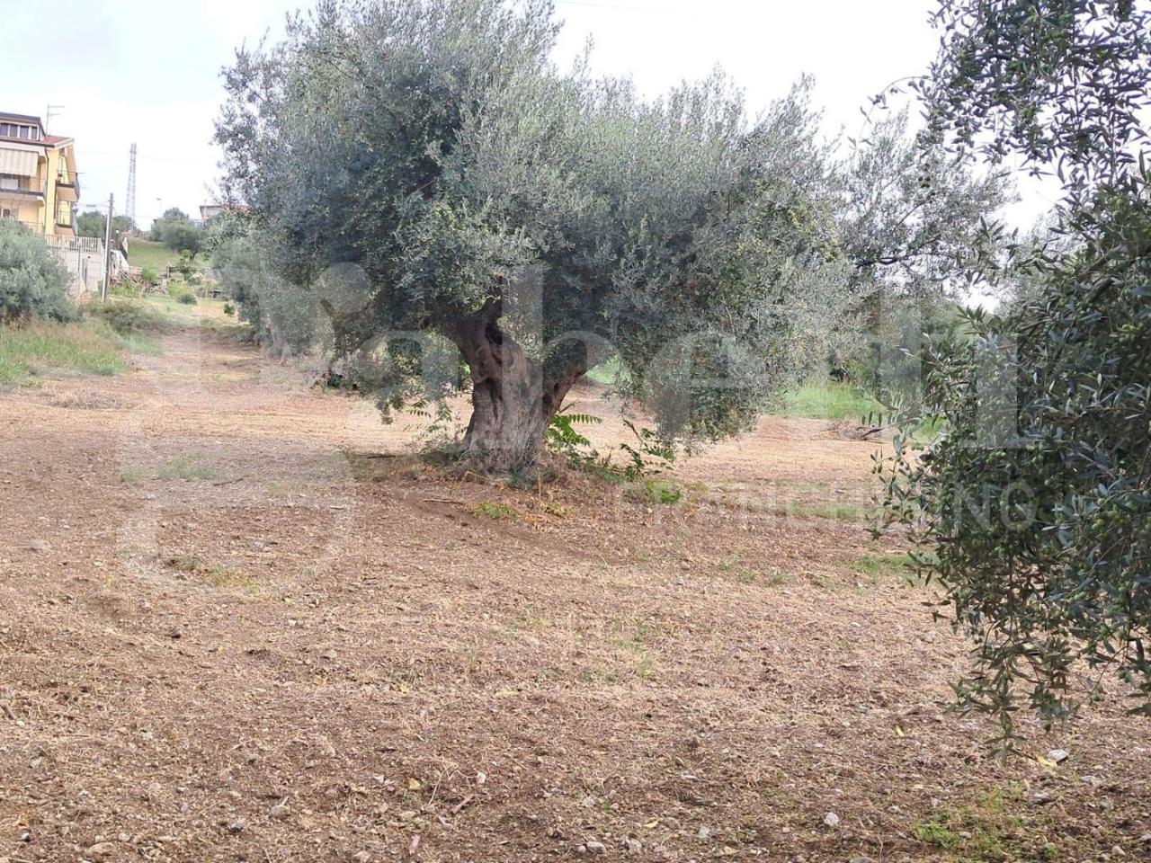 immagine annuncio 8 di 14