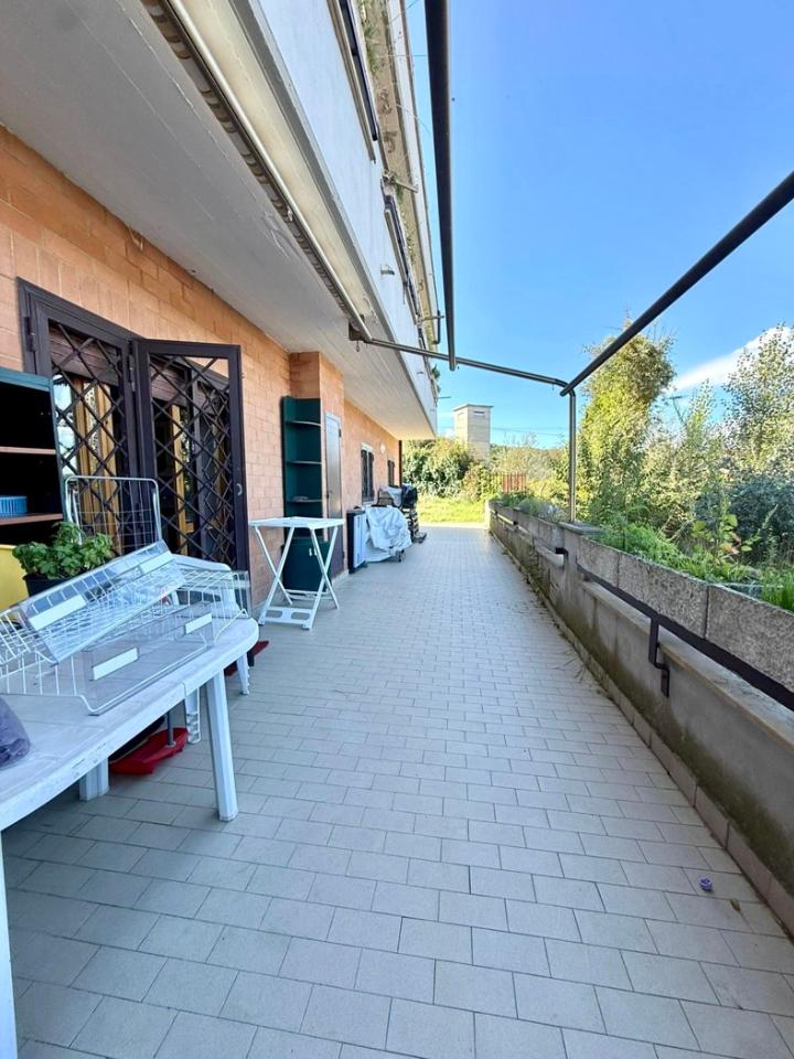 immagine annuncio 5 di 11