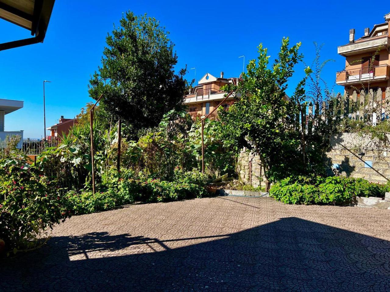 immagine annuncio 3 di 8