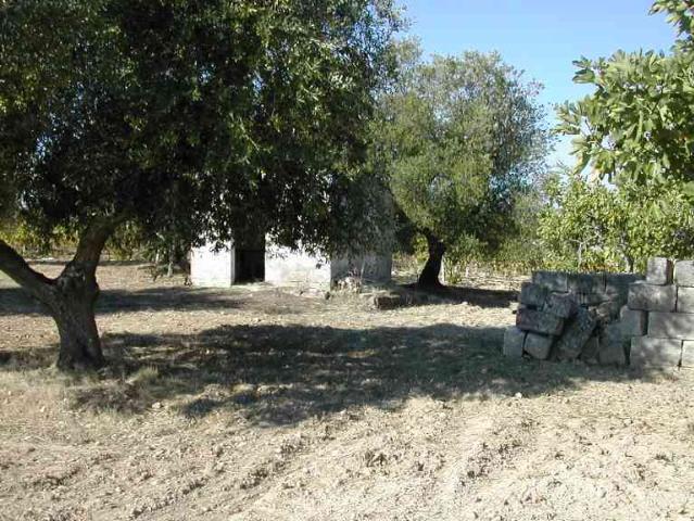 Terreno agricolo, Crispiano - Foto 1