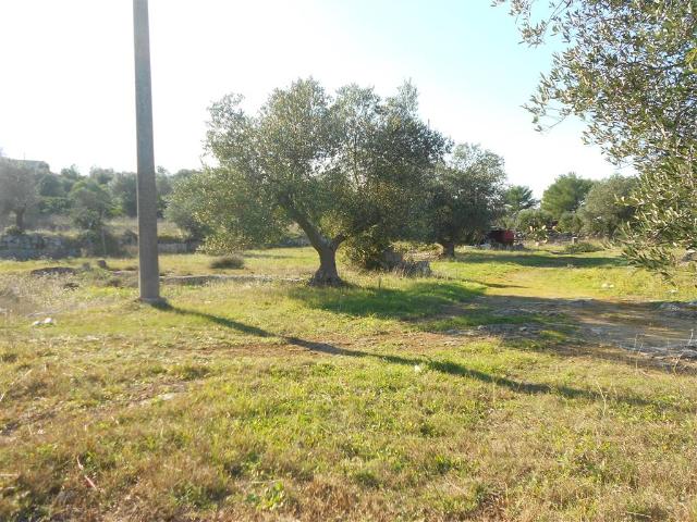 Terreno agricolo, Crispiano - Foto 1