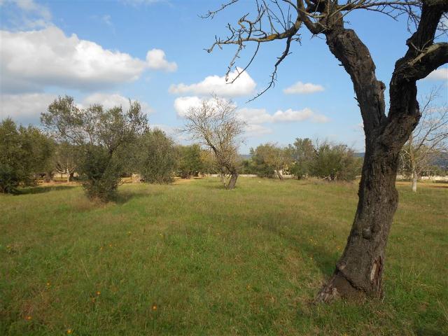 Terreno agricolo, Crispiano - Foto 1