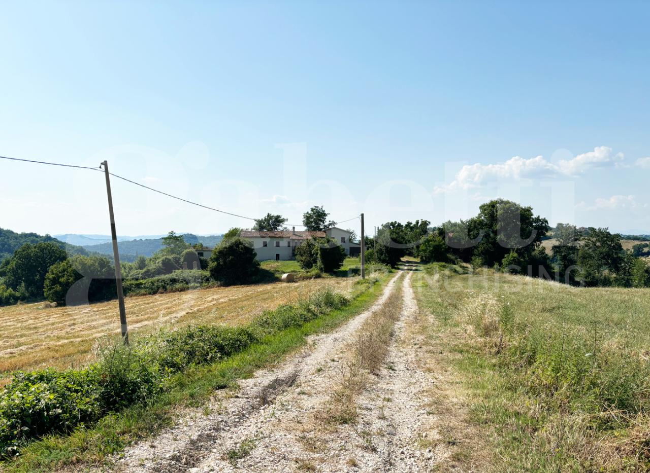 immagine annuncio 9 di 12