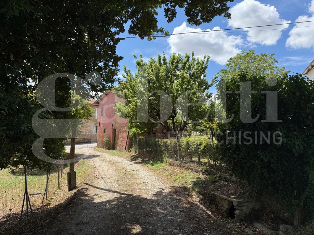 immagine annuncio 6 di 12